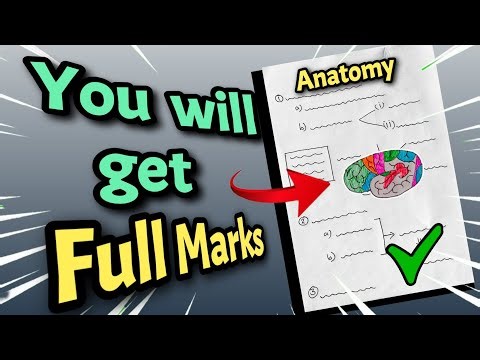 How to write ANATOMY answers in EXAMS like a PRO😎?|#mbbs,#medical