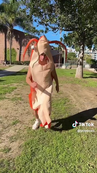 that’s one way to tackle the Shrimp Tackle Box