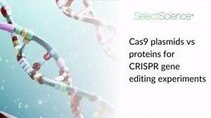 Want to fast track your gene editing experiments? In this new infographic, we explore why Cas9 proteins are becoming popular amongst CRISPR users. Get a closer look at how this CRISPR-Cas9 tool can revolutionize your workflow – download the full infographic now: https://bit.ly/3GR5Zmm #CRISPR #GeneEditing #Cas9 #Proteins | SelectScience