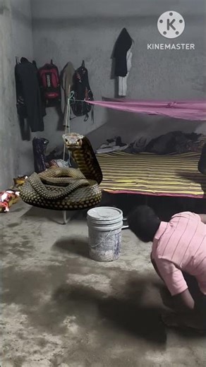 sakar ji ka damari #trending #tiktok #viral #reels #memes