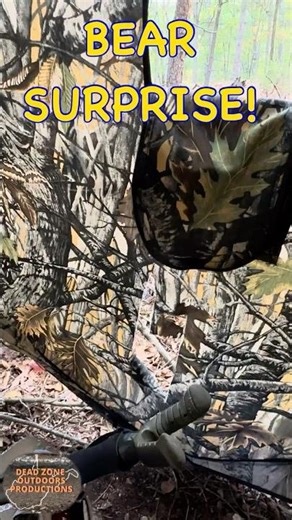 Bear and a blind don’t mix! E.P.27