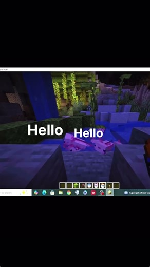 #minecraft #minecraftsurvivalseries100days #cute