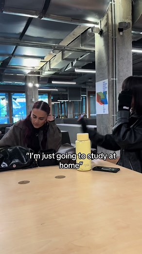 Hilarious Student Study Memes for University Life