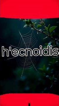 👉 “Significa ‘como araña’… pero no nació para insectos.” 👅