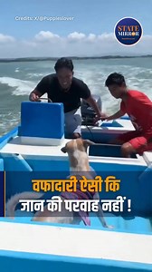 262K views · 6.2K reactions | एक दिल छू लेने वाला वीडियो सोशल मीडिया...