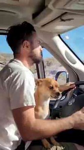 That moment you let Jesus drive