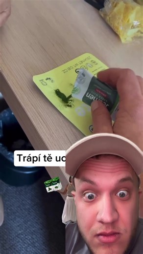 Czech Fitness: Tips for a Healthier Lifestyle