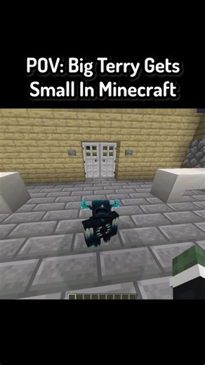 Saroney | POV: Big Terry Gets Small In Minecraft #minecraft #minecraftmemes #funnymoments | Instagram