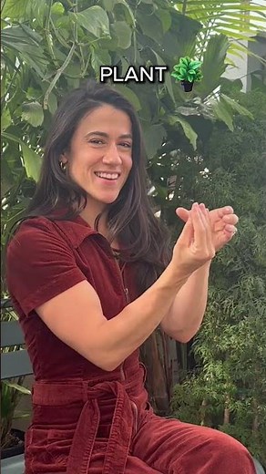 Plant & Grow | ASL Glossary | The ASL Shop