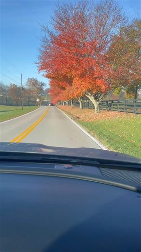 Started off early this morning to Big Bone Lick in Kentucky. Took a little hike to see the bison. Then to the visitors center to learn about the mammoth bones, saber-toothed tigers, sloths and more who perished in the salt spring. Fascinating. After that, had coffee at the Amsden coffee shop in Versailles, visited Frankfort, the capital of KY and last, the Buffalo Trace distillery. We’d never been to one before. The scent of mash in the air was so distinctive, one we will never forget. Did a tas