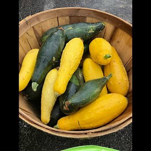 So proud of the SAINT PAULS BAPTIST CHURCH FAMILY in Richmond, Va! Farming 5 acres to end the food deserts in the East End of Richmond! You are a great example! Kudos! #beaboutit #community #feedthehungry #teamstrength #spbcstrong | Lance Watson