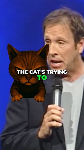 Live Shows JeffAllenComedy.com 😃🐯 Cats: proof that you can be adorable and still plot a m*rder. If you’ve ever been stared down at 3AM by a house cat with m*rder in its eyes... You know. #JeffAllenComedy #standupcomedy | Jeff Allen