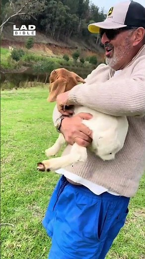 Baby goat screams are hilarious 🤣 (🎥: ViralHog)