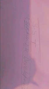 s.s.t class 10 project file sustainable development