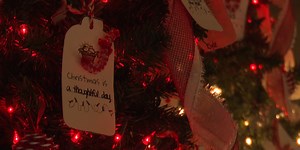 Festival of Trees kicks off at Salmon Run Mall