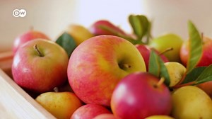 Foods that can fight inflammation