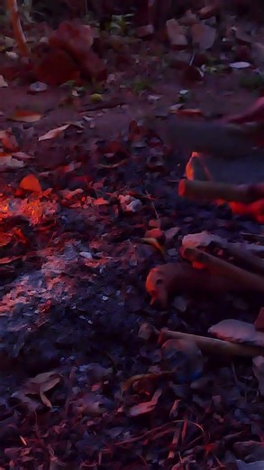 First attempt at home-based, quickest way of testing #bushcraft #survival #primitivetechnology