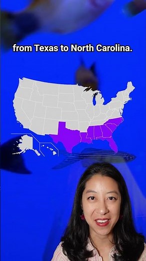Meet the Smallest Fish in the USA 🐟