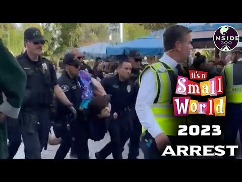 Arrest made at it's a small world for MIND-BOGGLING Incident