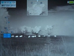 Snippet from our new YouTube Video. Watch the full video here: https://bit.ly/180HogsDown | Ultimate Night Vision