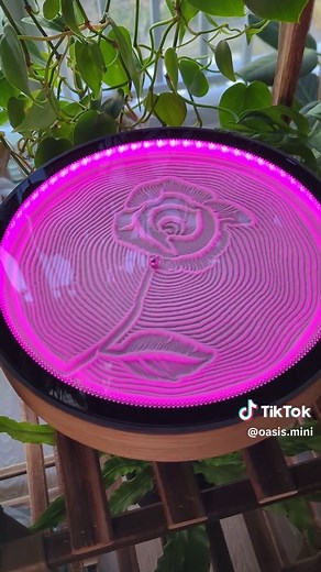 Create Stunning Kinetic Art with Oasis Mini