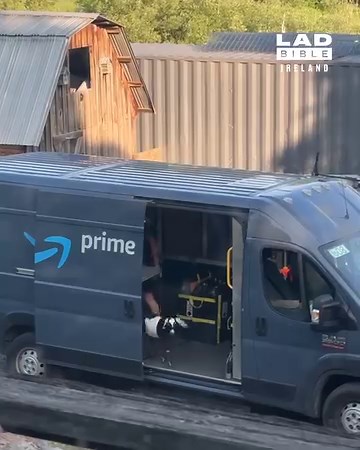 Goats climb into a delivery van 😅 | LADbible Ireland