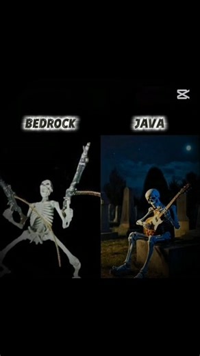 #minecraft bedruck skeleton java skeleton