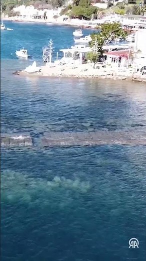 Bodrum'da denizin çekilmesiyle Tavşan Adası'ndaki tarihi surlar ortaya çıktı