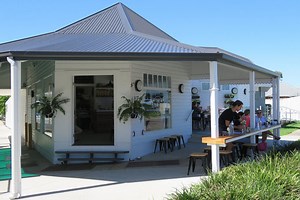 Best Dog Friendly Cafes In Brisbane's North | Must Do Brisbane