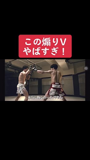 この煽りVはやばい#朝倉兄弟#RIZIN #RIZIN30 #朝倉未来 #朝倉海#格闘技