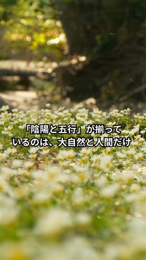 【禄玉塾】より深く学びたい方は、算命学入門本科の無料体験説明会へ💪詳しくはホールプロフィール画面の公式LINEまたは入門本科ページへGO🏃#算命学 #禄玉塾 #人間関係 #陰陽五行