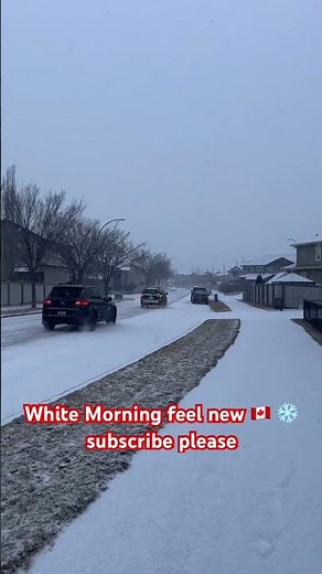 Fresh Snow Morning- Alberta Canada.