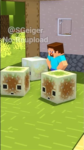 How to Catch a Zombie with a Sulfur Cube #MinecraftAnimation
