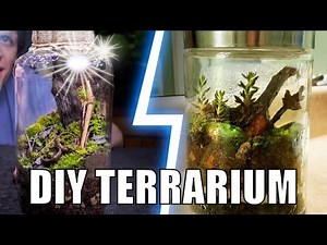 I Tried Following a Terrarium Tutorial by SerpaDesign!