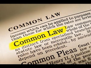 Common Law and The American Government