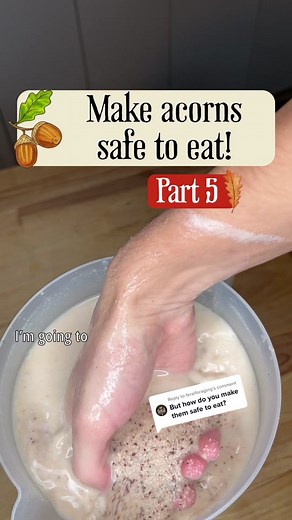 How to Cold Leach Acorns for Safe Consumption