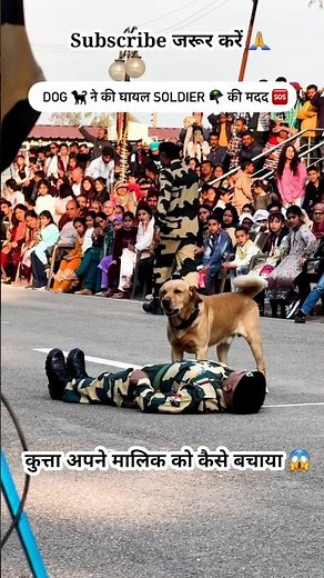 Army K9 Saves Fainted Soldier Real Hero 😱