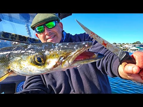 Australian Snook! Fishing for Food Catch n Cook