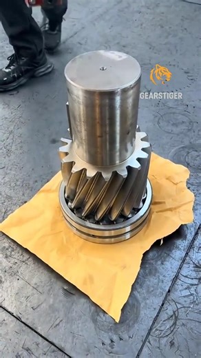How to Assemble an Extruder Gearbox Middle Shaft (18-Second Guide!) 🔧⚙️