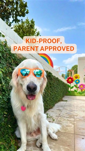 If our shades can survive a high-energy Golden (and still look this good!), they can survive your kid! Our anti-slip frames and durable designs mean fewer lost glasses and more playtime. Get the shades that are Kid-Proof and Parent Approved! | Sunnies Shades