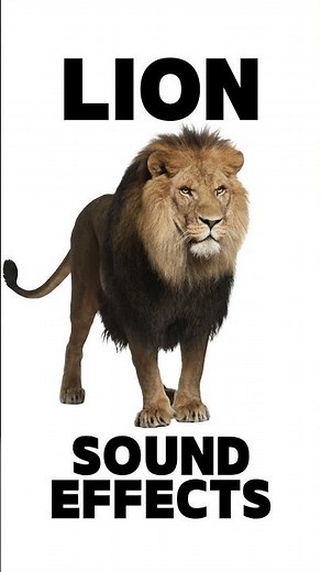 Lion Sound Effects