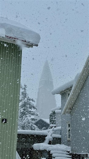 WAKE UP REYKJAVIK on Instagram: "Today in Reykjavík we got the first snowfall of the season! ☃️ In other news it’s only 57 days until Christmas, but who’s counting? 🎄 #iceland #travel #christmas"