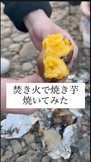 焚き火で焼き芋焼いてみた #焼き芋 #焚き火 #焚き火料理 #焚き火飯 #焚き火めし #キャンプめし #キャンプ飯 #キャンプ料理 #キャンプ #アウトドア #アウトドアめし #アウトドア料理