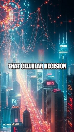 The Living City Within A Real Time Tour Of Cellular Coordination