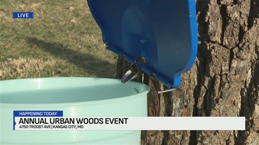 Kansas City event celebrates native trees, maple syrup craft