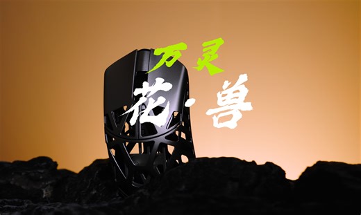 finalmouse平替？镁合金镂空鼠标万灵花·兽