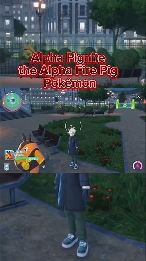 Alpha Pignite fighting for the charcoal berries found in Lumiose