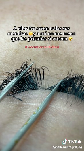 Ciclo de Crecimiento de Pestañas: Fases Esenciales