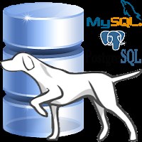 「Patron DB」 - Androidアプリ | APPLION