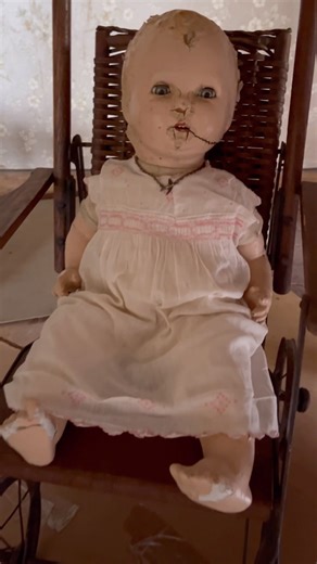 3.9K views · 187 reactions | Last night I heard scratching and...